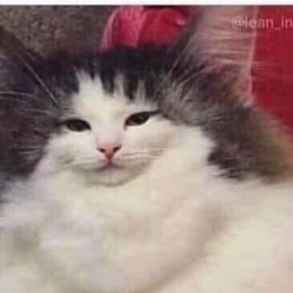 Meet your Posher, Heaven - Picture 1 of 1